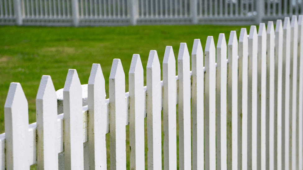 fence